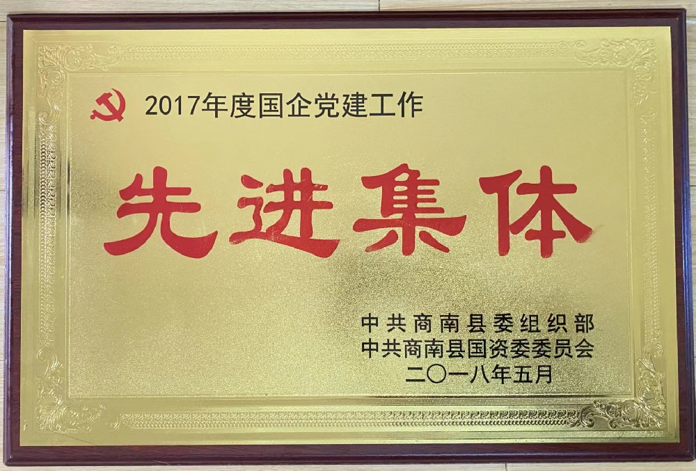 2017年先進集體