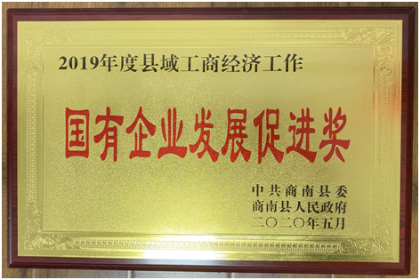 2019年國(guó)有企業(yè)發(fā)展促進(jìn)獎(jiǎng)